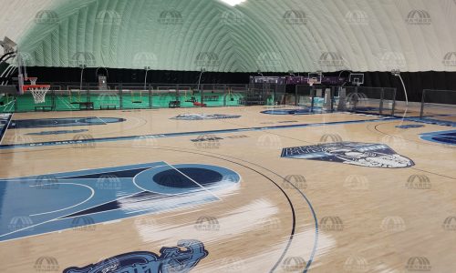 穿越争议：探索气膜建筑在中国的未来走向