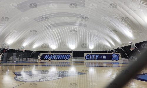 “充气膜建筑市场分析与预测：洞察行业未来发展趋势”